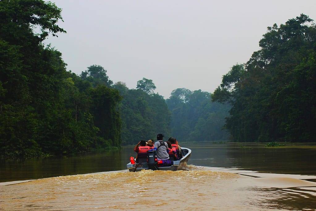 Kinabatangan River riverside view