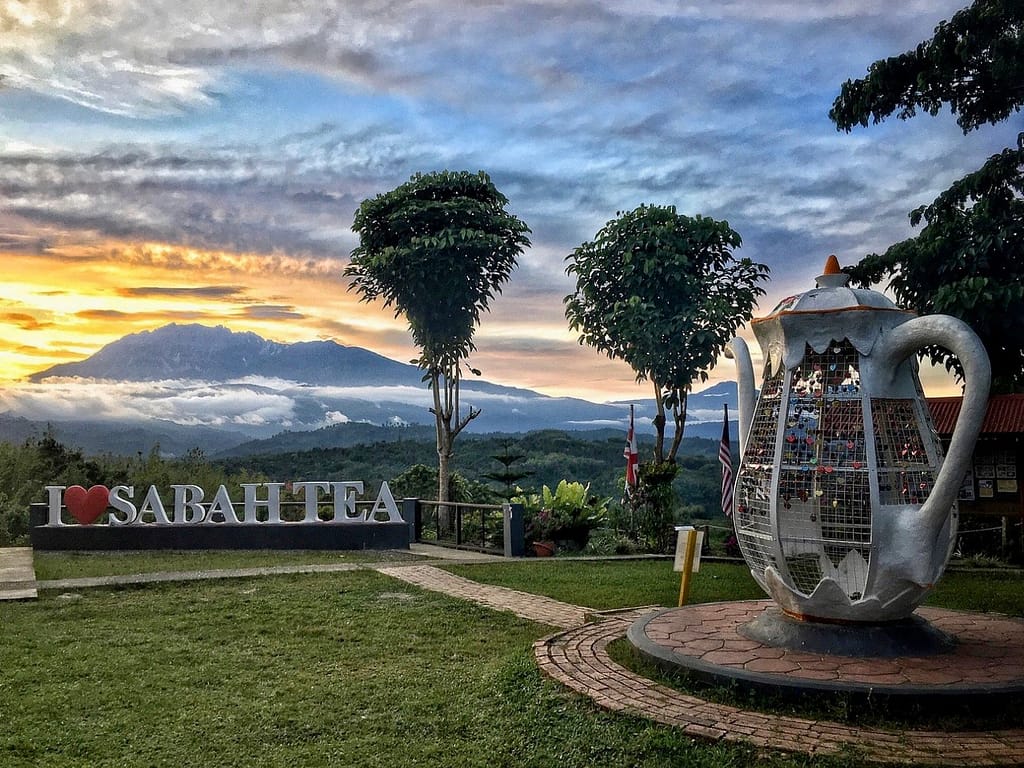 Sabah tea plantations near Ranau