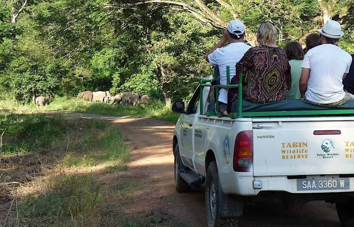 Safari drive at Tabin Wildlife Reserve