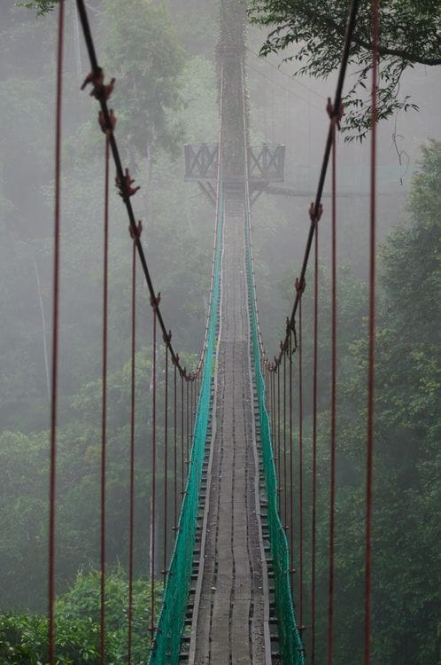 Canopy bridge at Danum Valley