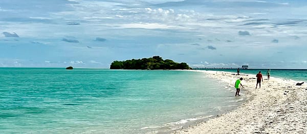 beach on an island in Tun Sakaran Marine Park near Semporna