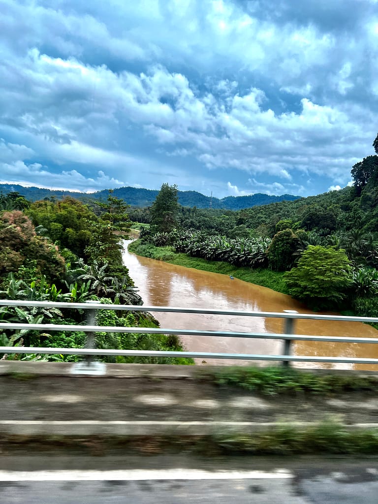 Kinabatangan River roadside view from Pan-Borneo Highway